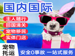 北海机场快运国际宠物托运 【国